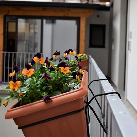 La Dagala Bed and Breakfast *